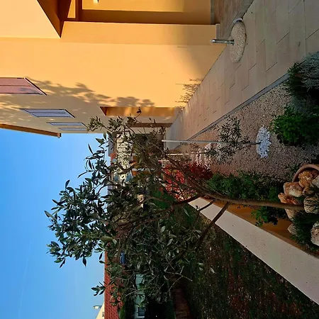 Βίλα D2olive House