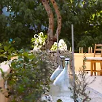 D2olive House *