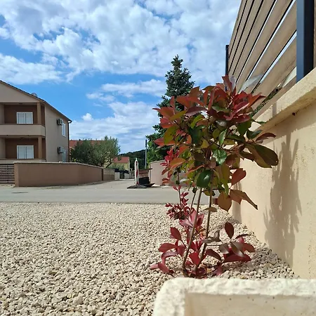 Vila D2olive House *