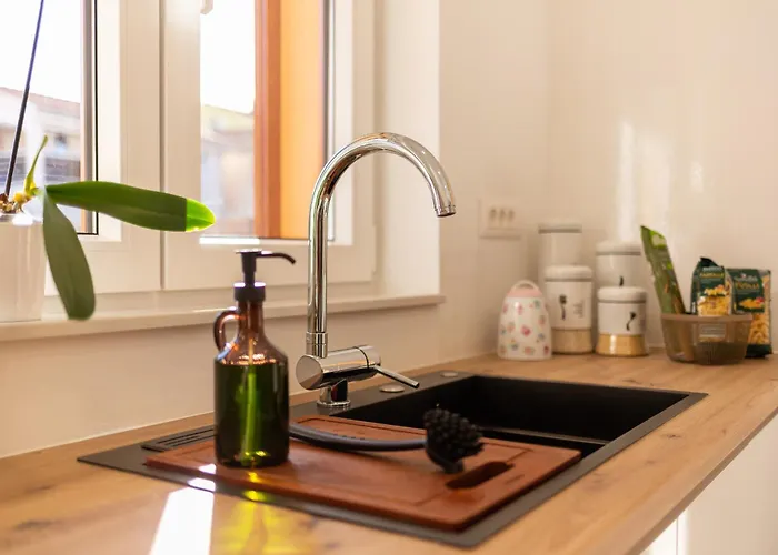 D2olive House Villa *