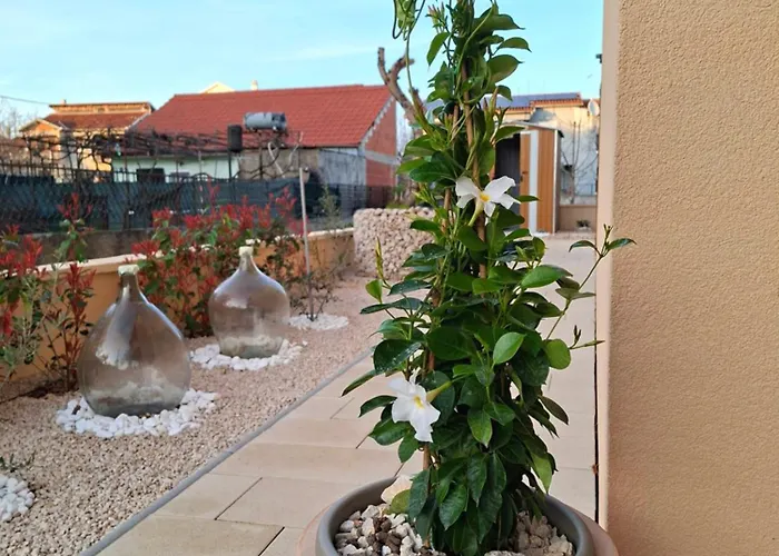 D2olive House Villa